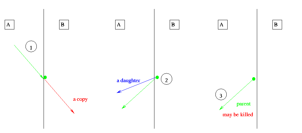 Particle suffers process on boundary.